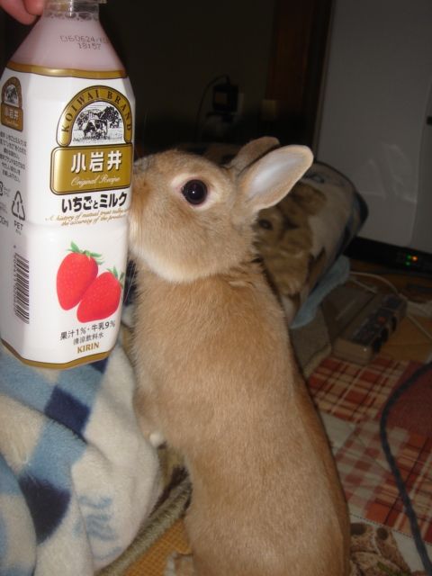 イメージ 2