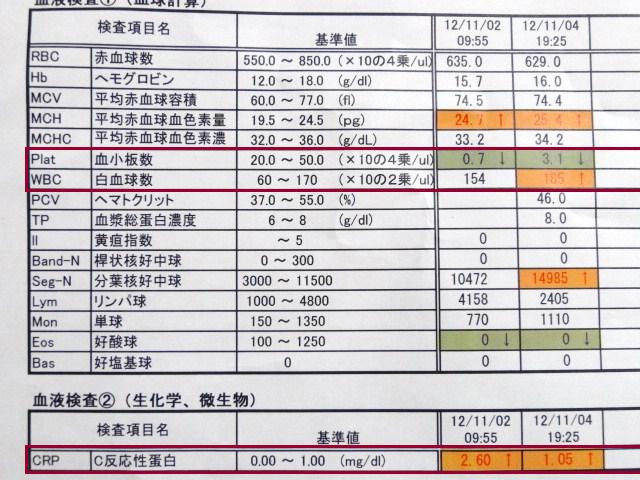 イメージ 2