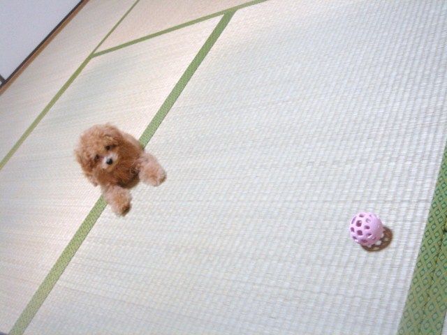 イメージ 8