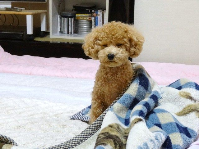 イメージ 3