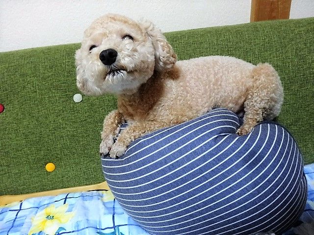 イメージ 8