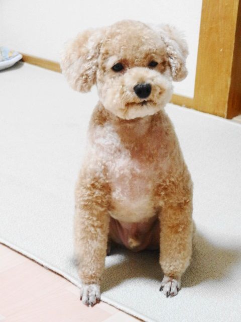 イメージ 3