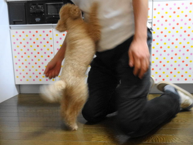 イメージ 4