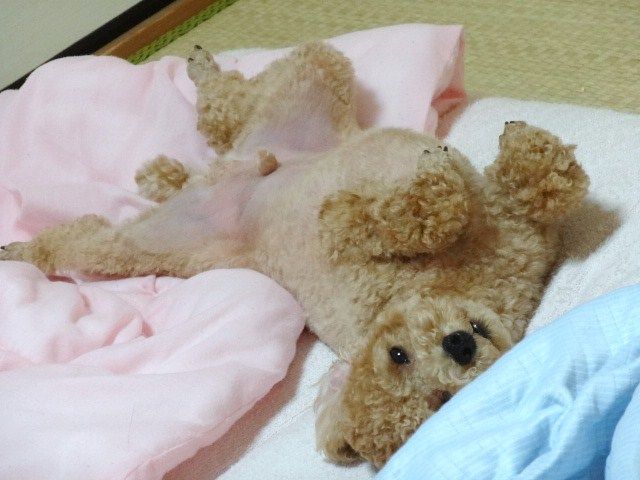 イメージ 1