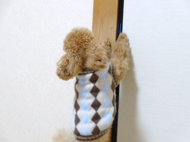 イメージ 10