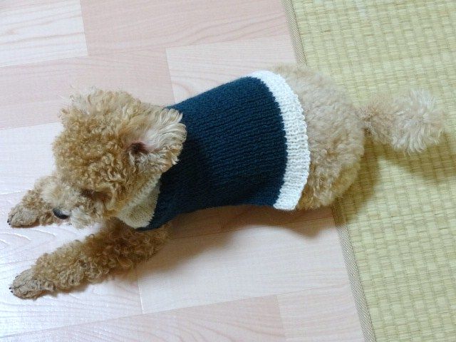 イメージ 3