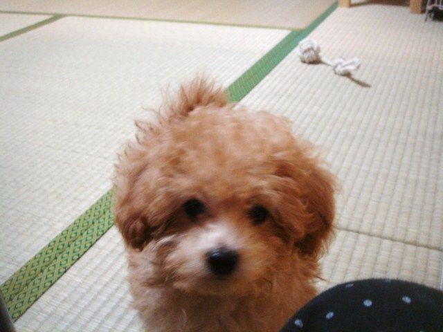 イメージ 3