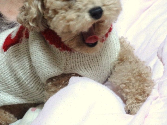 イメージ 3