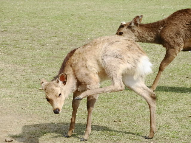 イメージ 7