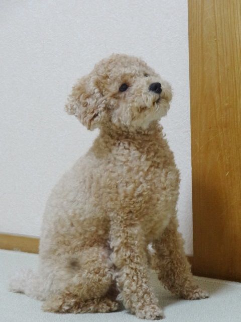 イメージ 2