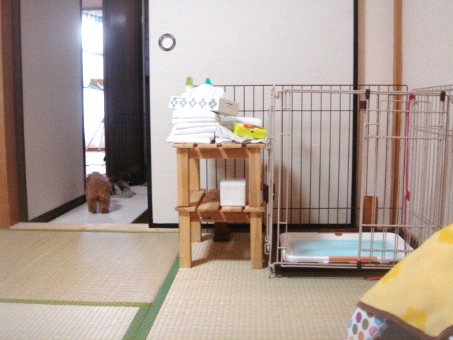 イメージ 5