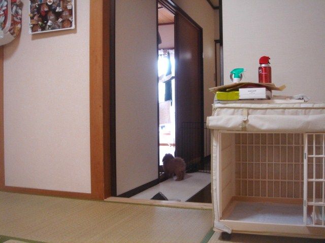 イメージ 6