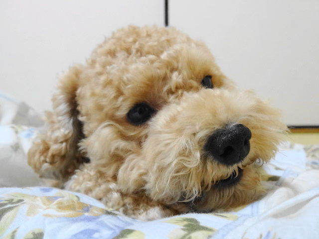 イメージ 3