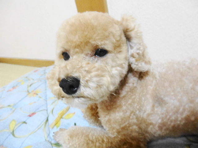 イメージ 3