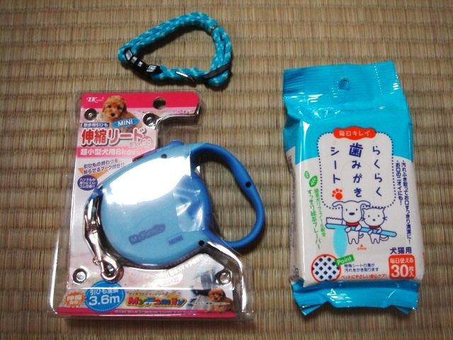 イメージ 6