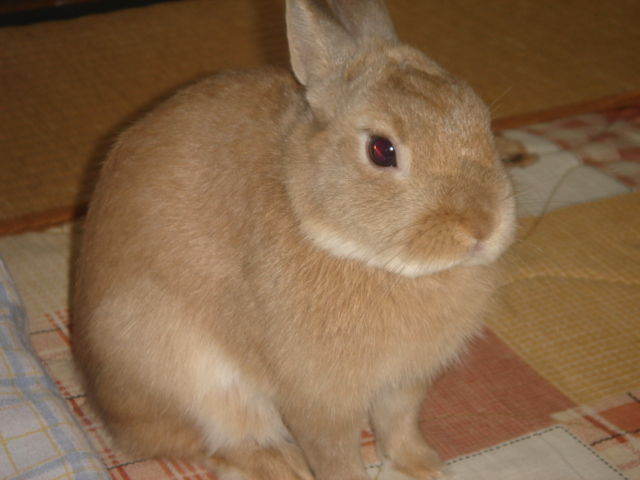 イメージ 1