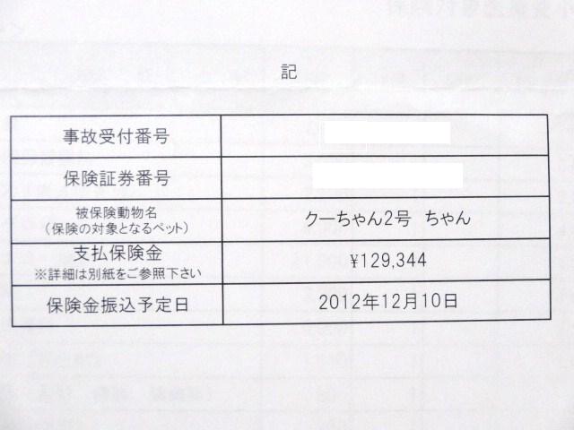 イメージ 7
