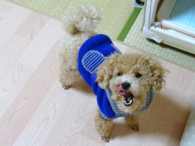 イメージ 2
