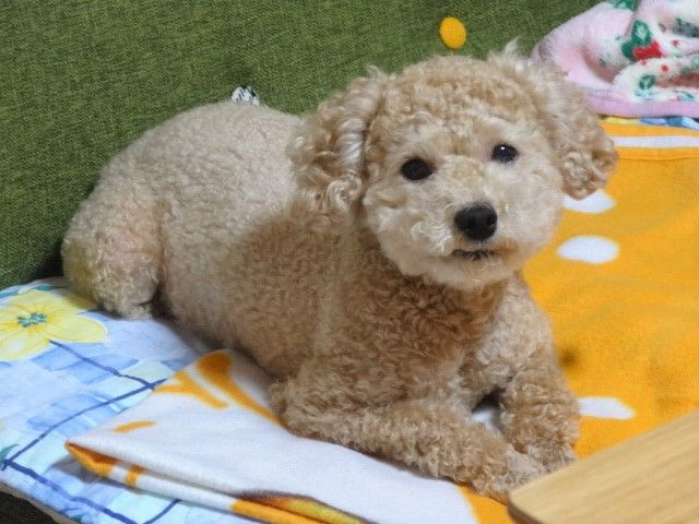 イメージ 6