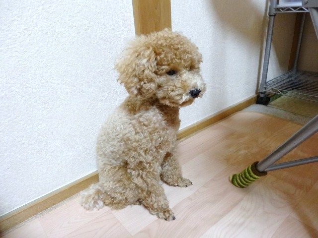 イメージ 1