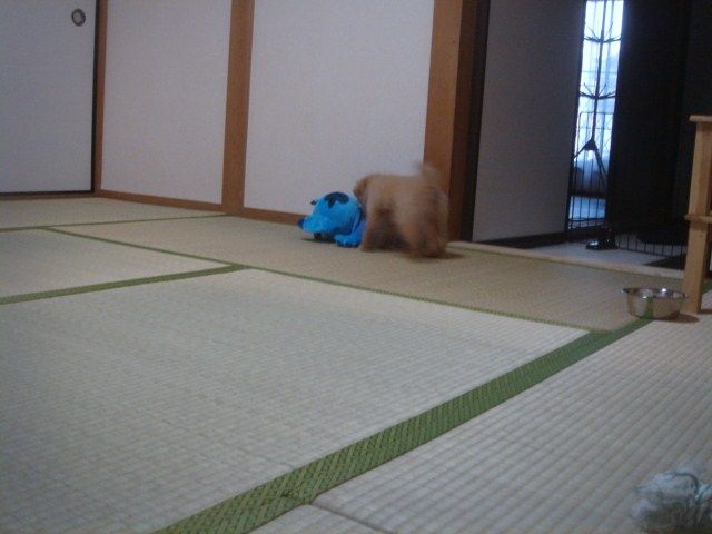 イメージ 10