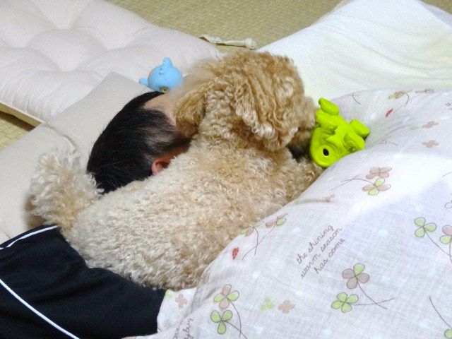 イメージ 8