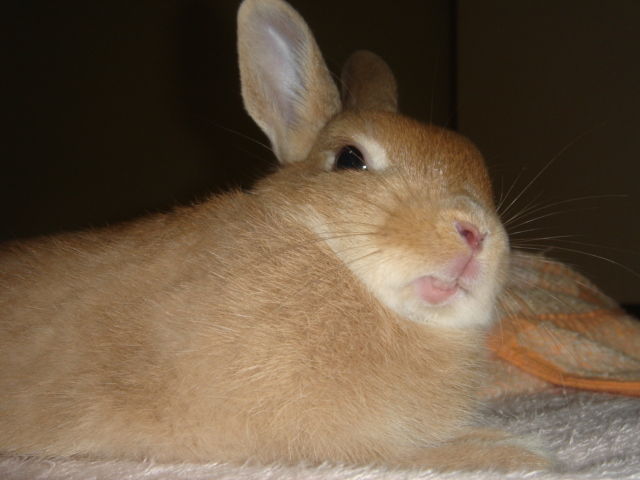 イメージ 12