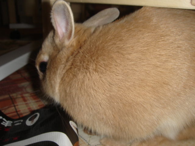 イメージ 4