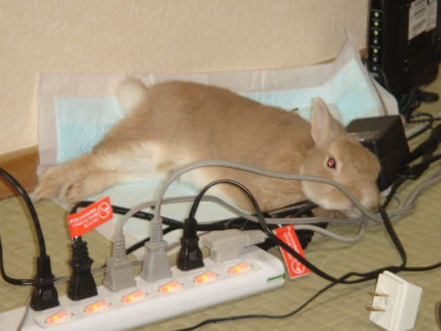 イメージ 3