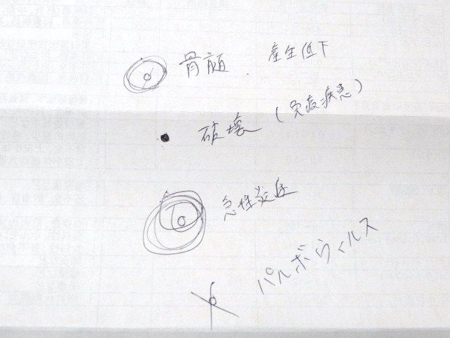 イメージ 6