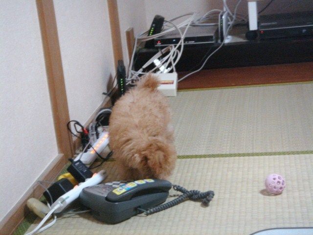 イメージ 9