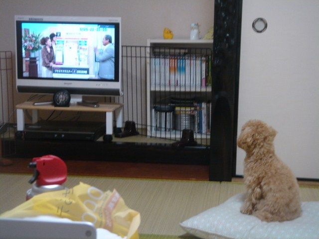 イメージ 5