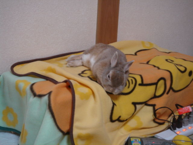 イメージ 1