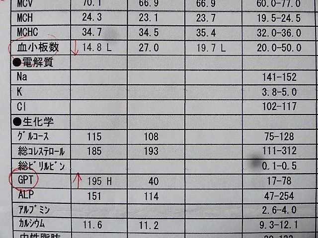 イメージ 7