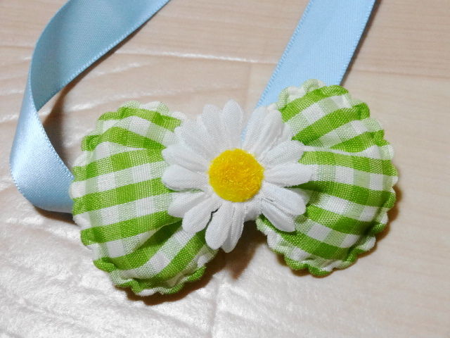 イメージ 5