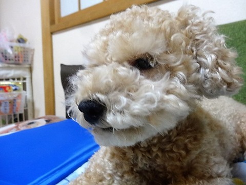 DSC04648