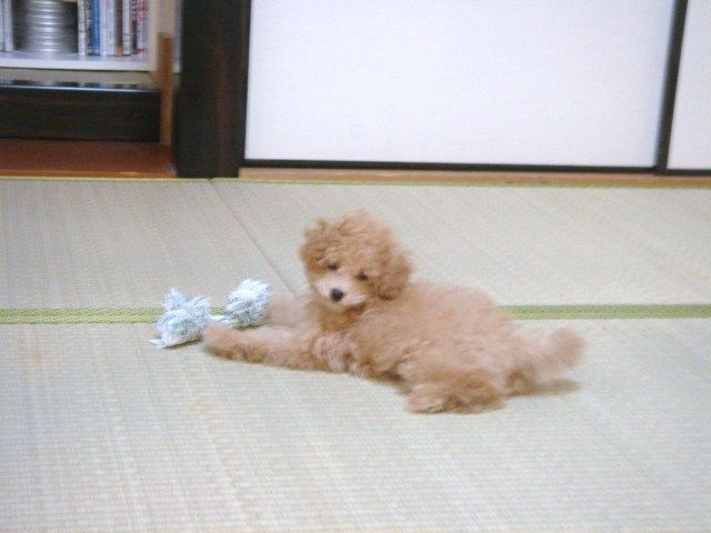イメージ 1