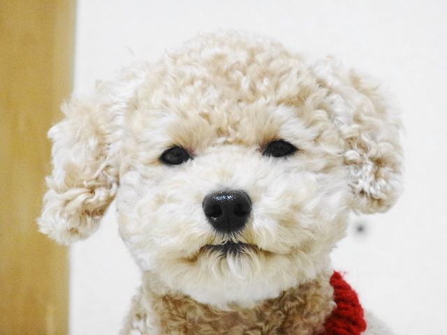 イメージ 1