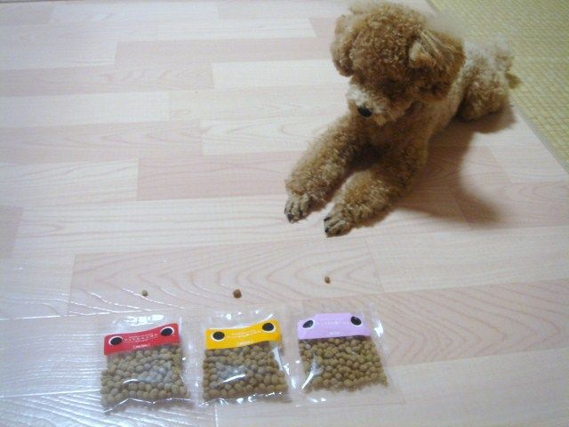 イメージ 10