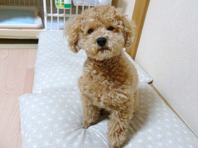 イメージ 9
