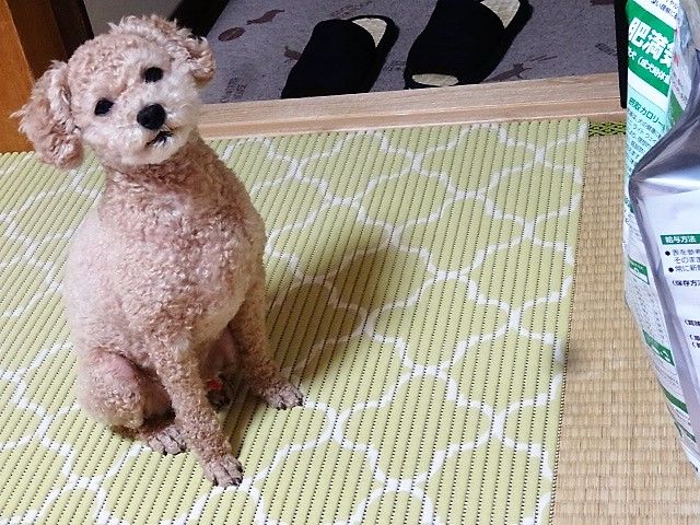 イメージ 6