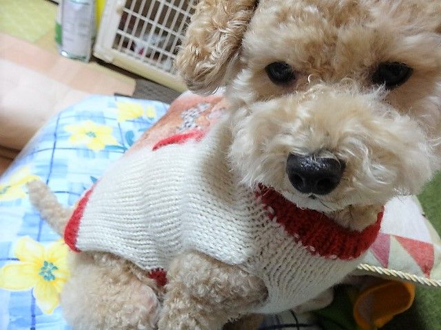 イメージ 3