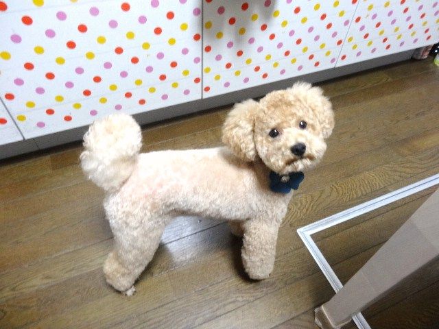 イメージ 6
