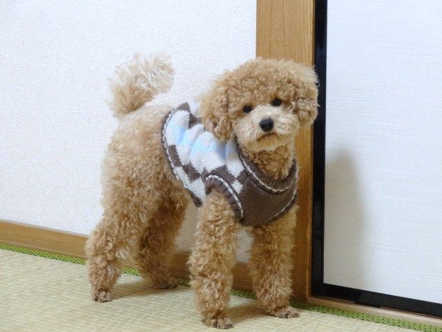 イメージ 3