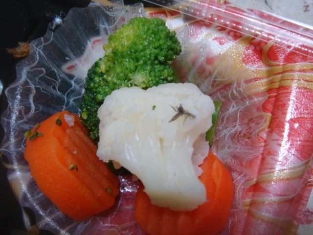 イメージ 5