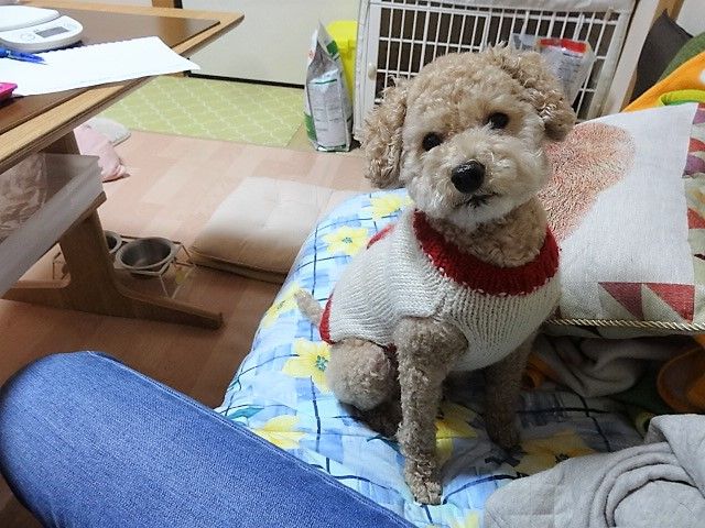イメージ 5