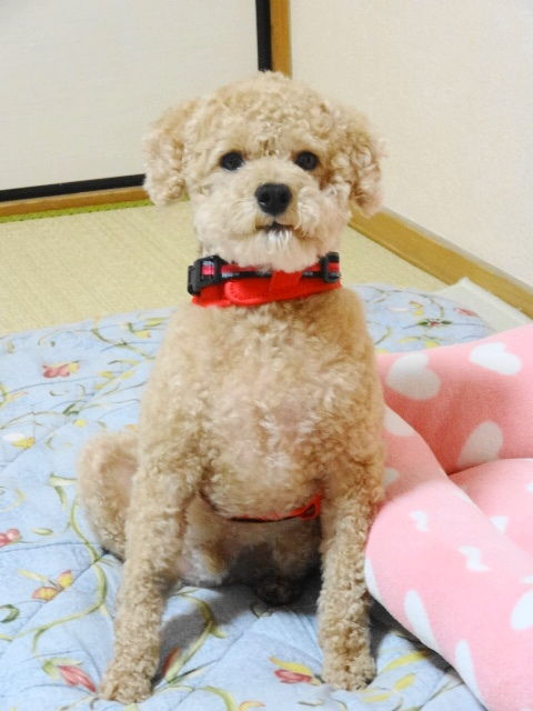 イメージ 6