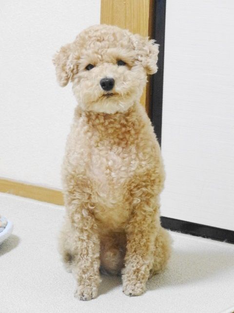 イメージ 5