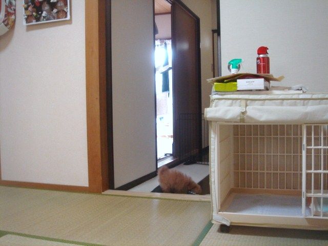 イメージ 4