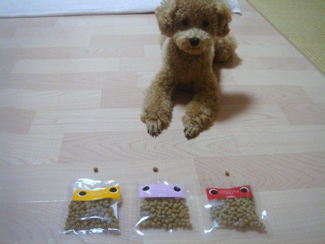 イメージ 15